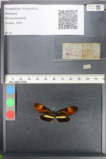 Media type: image;   Entomology 100903